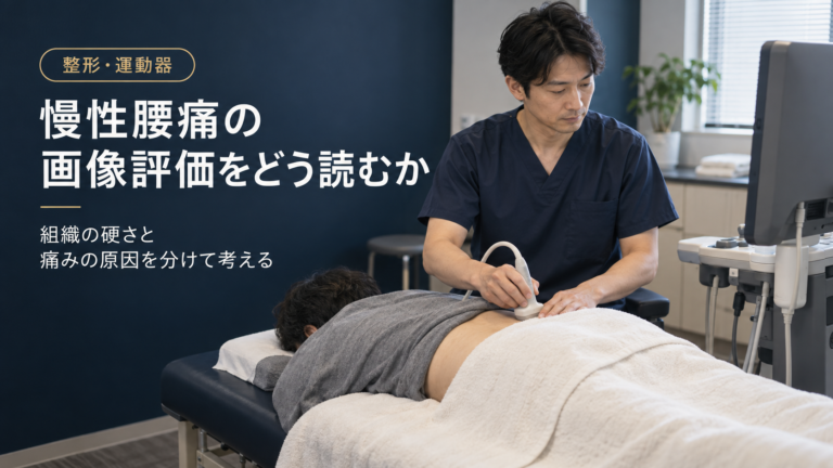 慢性腰痛の画像評価をどう読むか　病態分類の提案と臨床での注意点